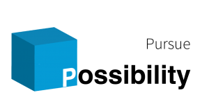 Pursue Possibility
